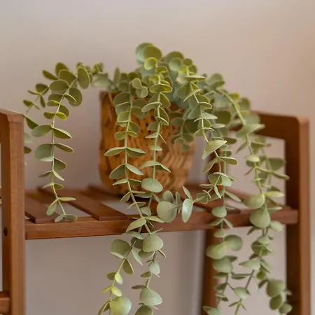 The Charming By Curt Hotel Berlín