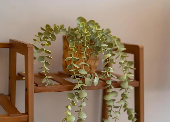 The Charming By Curt Hotel Berlin